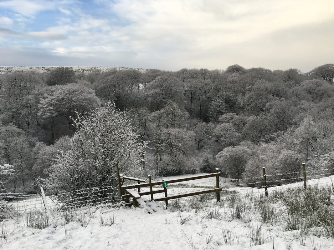 B239248D-CC53-43A5-A698-4271238A5888