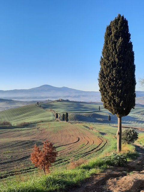 DIA 5. MONTICHIELLO-MONTEPULCCIANO. CASA DE MAXIMO. - Respirar y saborear la Toscana. 9 días (3)