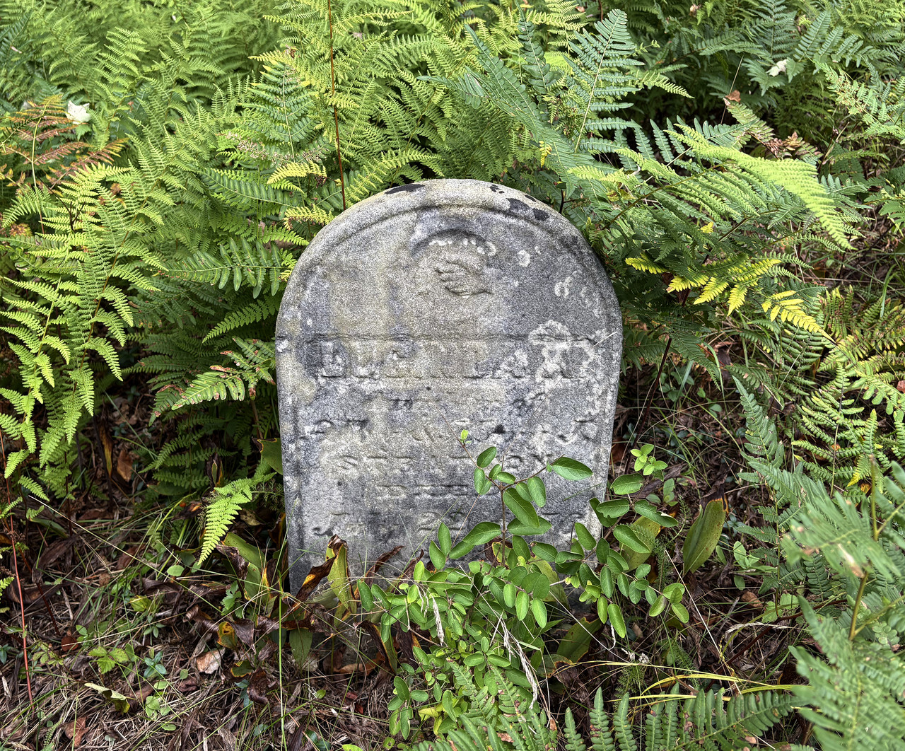 Fallsburg-Cemetery-Aug-31-2026-9