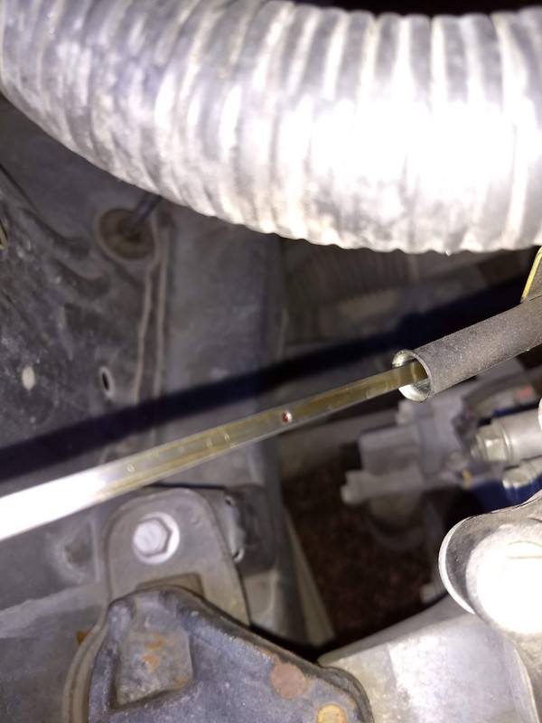 IMG_20181211_093340657