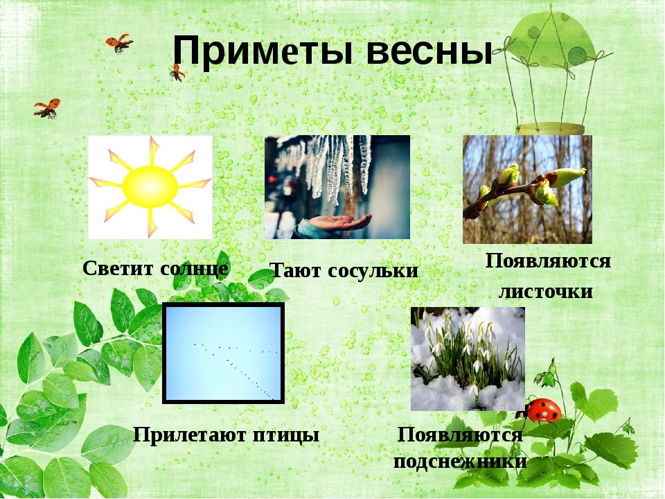 Признаки весны для детей в детском саду. Приметы весны. Приметы весны для дошкольников. Весенние приметы.