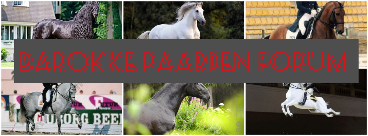  ☰ barokkepaardenforum