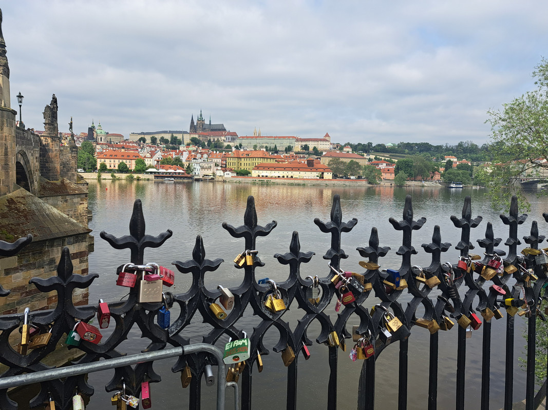 11.21 - 20240504_105515 (TomaszK)