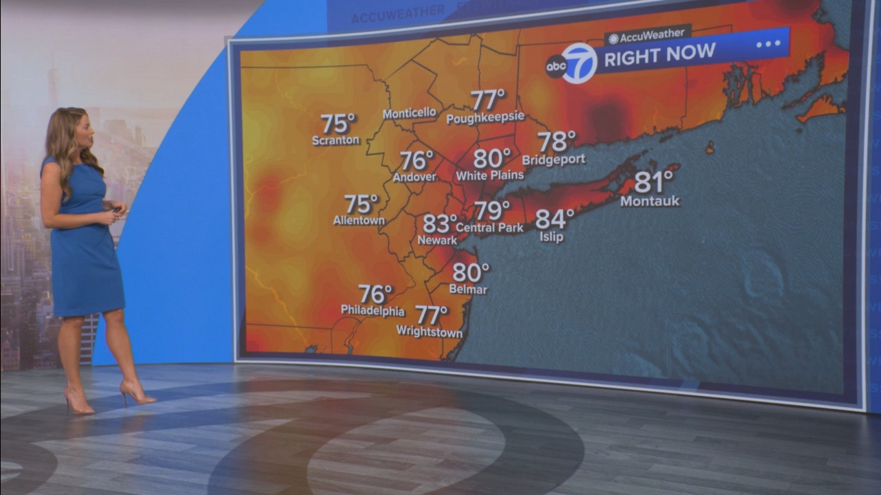 Eyewitness News Mornings at 10_20250811_15001600.ts_snapshot_45.24.370