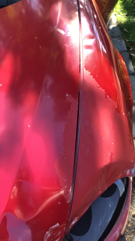 2911663C-92FB-40D6-8288-7C1D2FDE026A