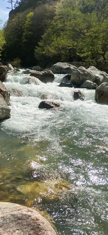 IMG20250420151110.jpg