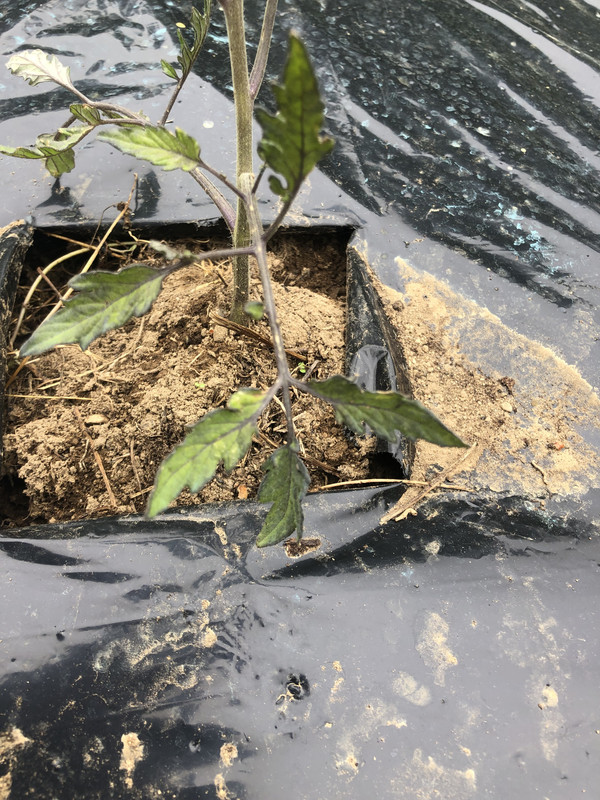 798439E2-87C8-47FB-A0AA-6E279A7231BD