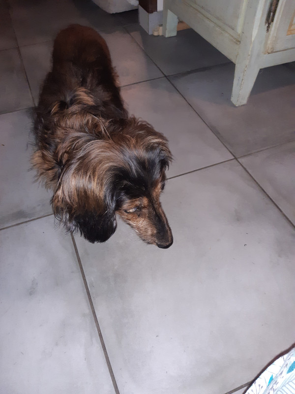 [Image: 20231201-072709.jpg]