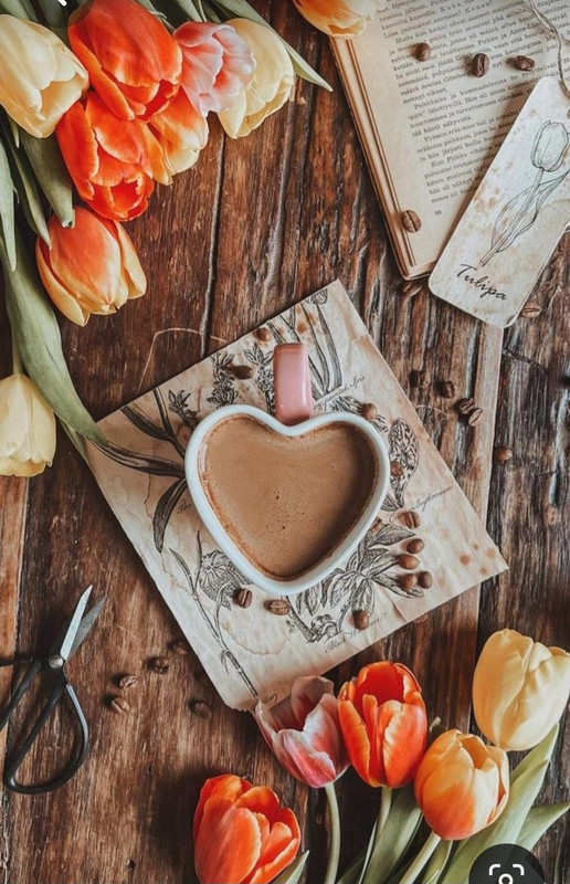 Screenshot_20230731_230627_Pinterest