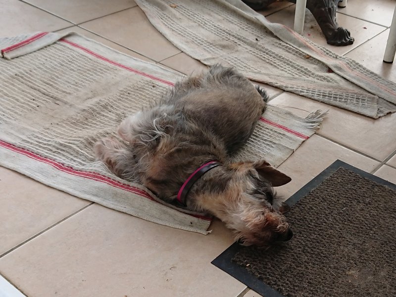 [Image: DSCPDC-0001-BURST20240507091547111-COVER.jpg]