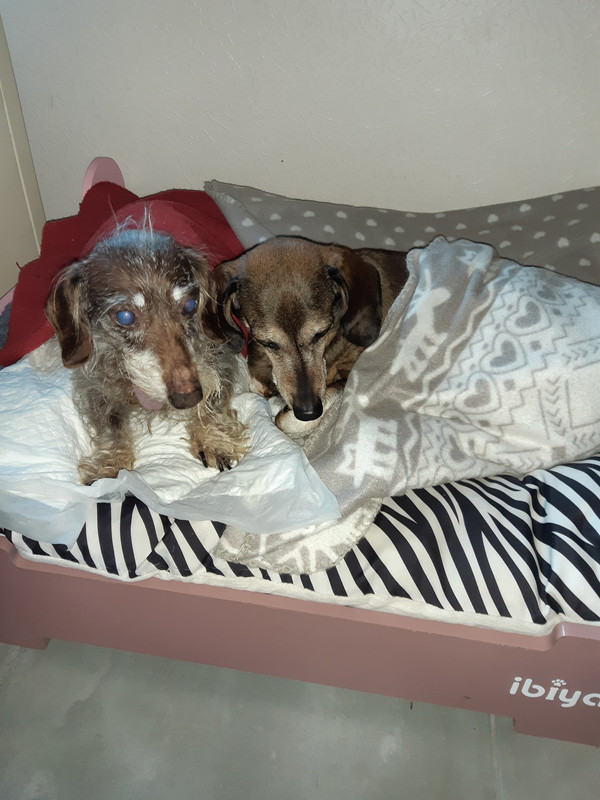 [Image: 20210227-085204.jpg]