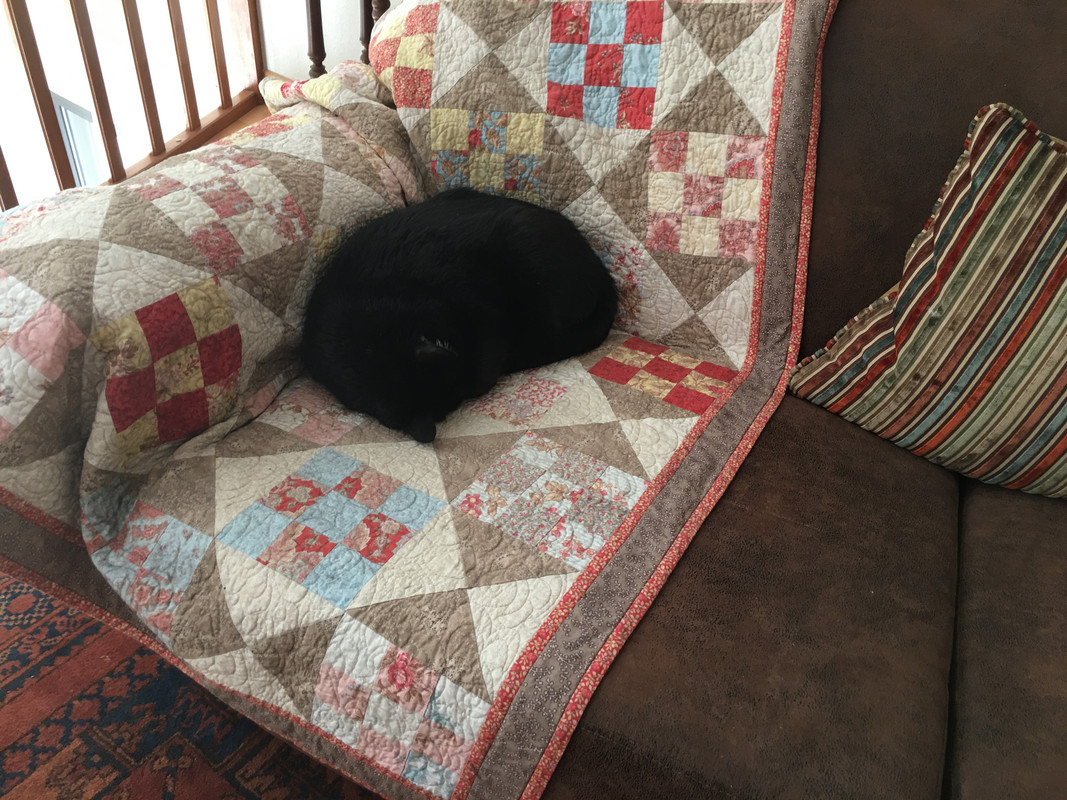 FE3B3A0C-ACE7-4381-BD83-1443900EB48A