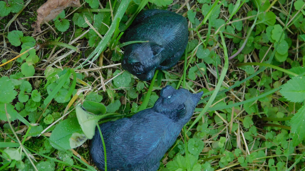 Дачное и  к Хелл сентябрь 2023 148