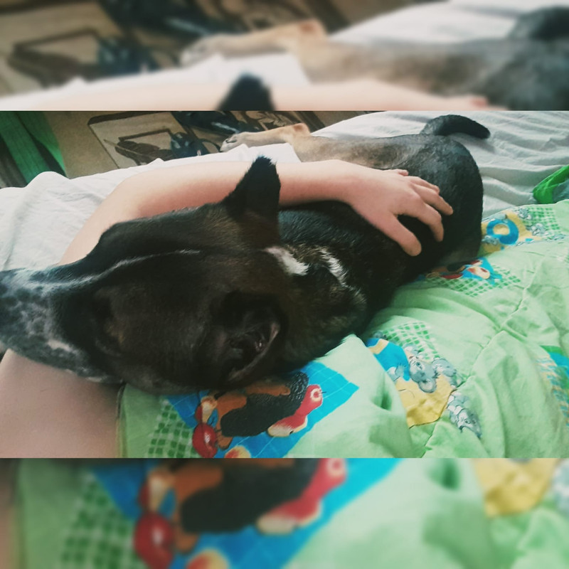 2E9D7212-1537-4D7E-B516-89CA74924993