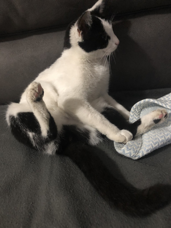 2B009D0C-F782-4B1C-A75E-2BB8D447D9A0