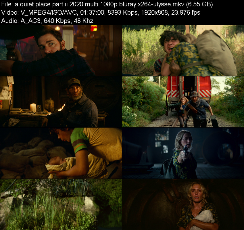 a-quiet-place-part-ii-2020-readnfo-multi