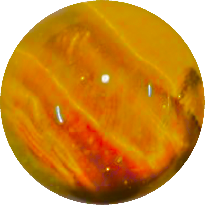 4DE56672-280E-4F99-AA12-BB092E98EF1F