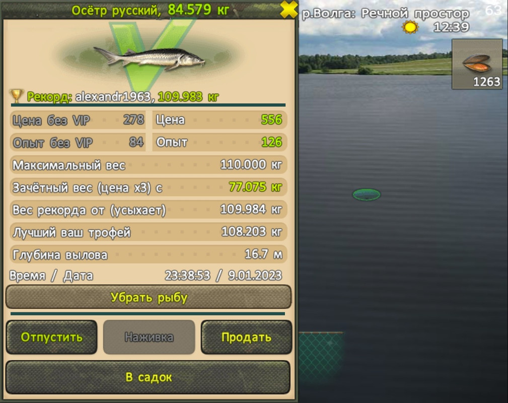 Screenshot_20230109-233906