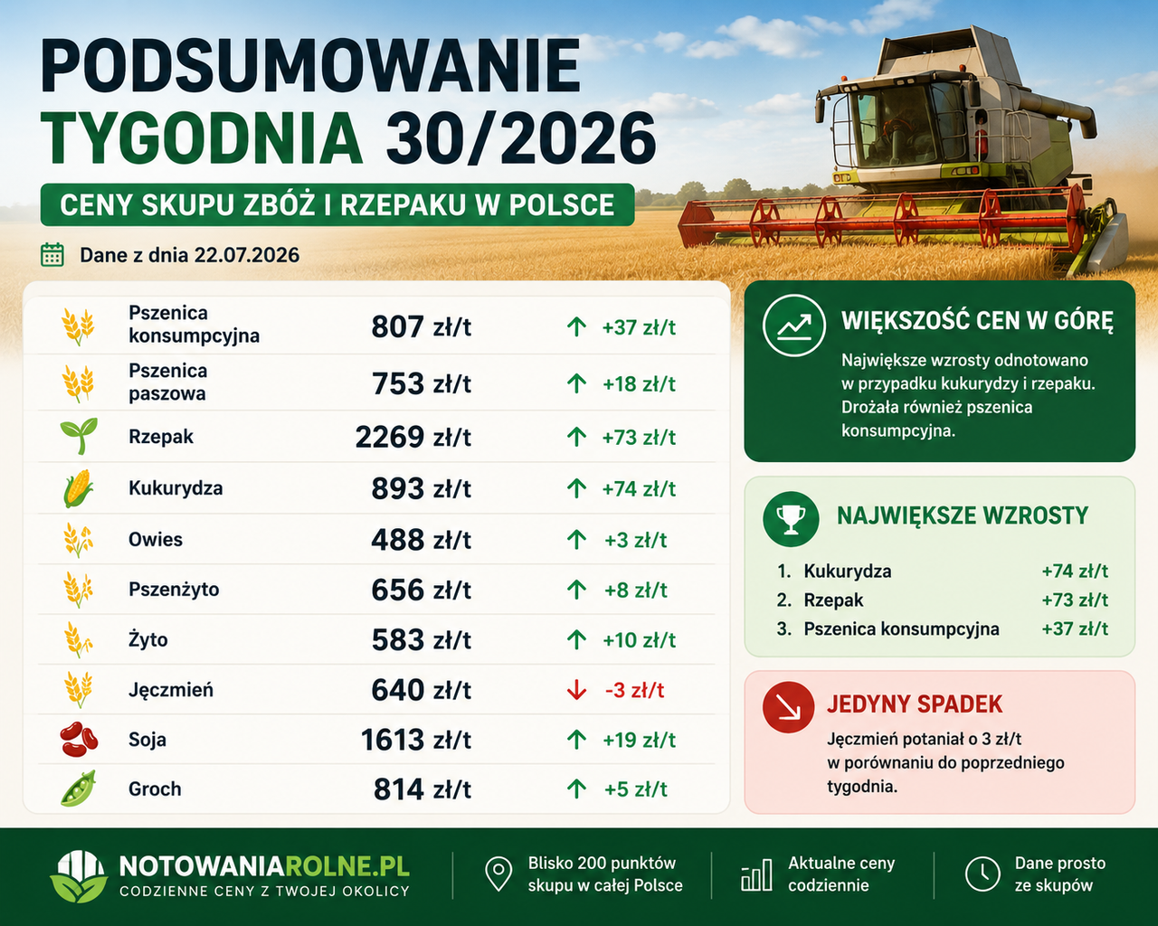Podsumowanie tygodnia 30/2026. Rzepak i kukurydza najmocniej w górę, pszenica konsumpcyjna również drożeje