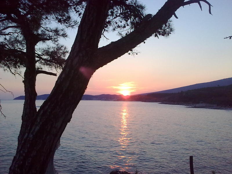 Slika