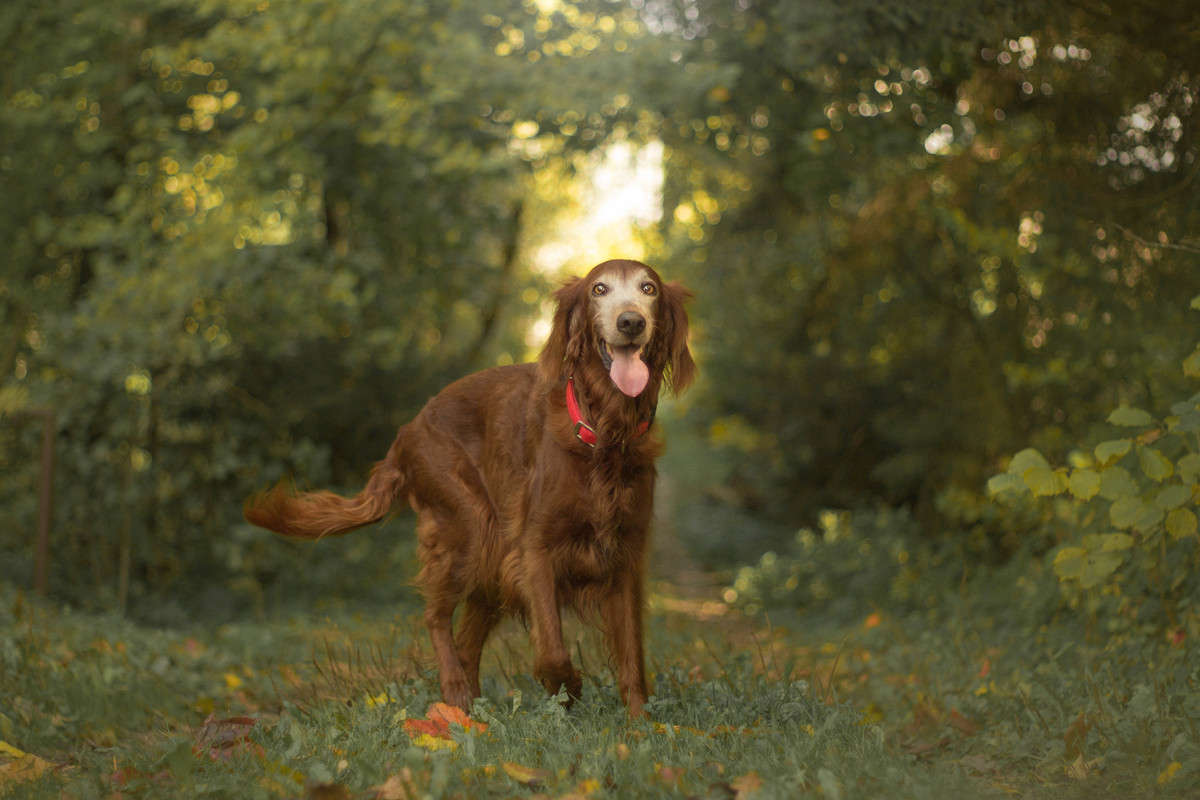 4E3C0129-046B-49FC-B986-D7997FDE50AF