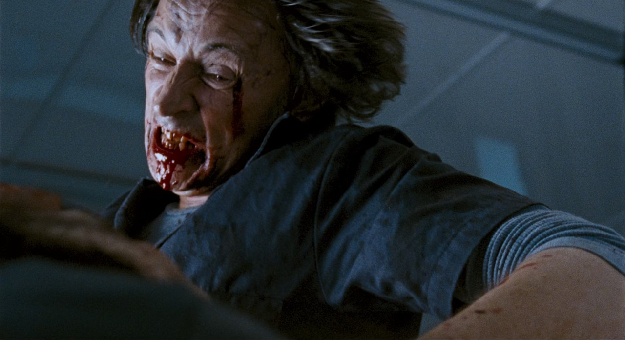 28 Weeks Later 2007 (1080p x265 10bit Tigole).mk