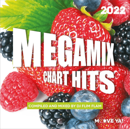 VA - Megamix Chart Hits 2022 (Compiled and Mixed By DJ Flimflam) (2022)