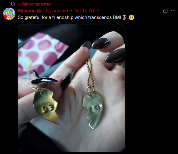 tweet stating friendship exceeds BMI showing off a friendship necklace with hearts that connect to read obese