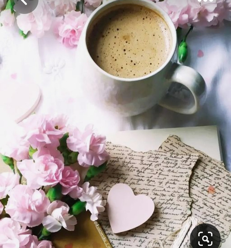 Screenshot_20230718_235727_Pinterest