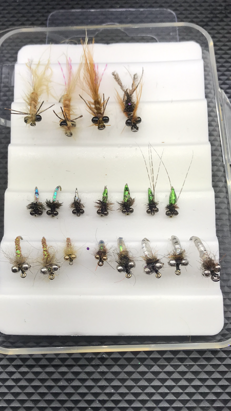 2C15A701-F6D5-4D14-95A2-6EE9B2AAC701