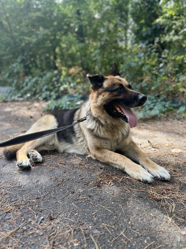 IMG-b165c33c9e98225cb901afc8796b9137-V