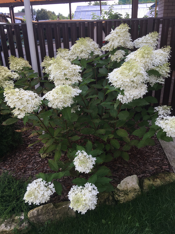 3046969E-9055-4DF6-B220-0426DA28DA56