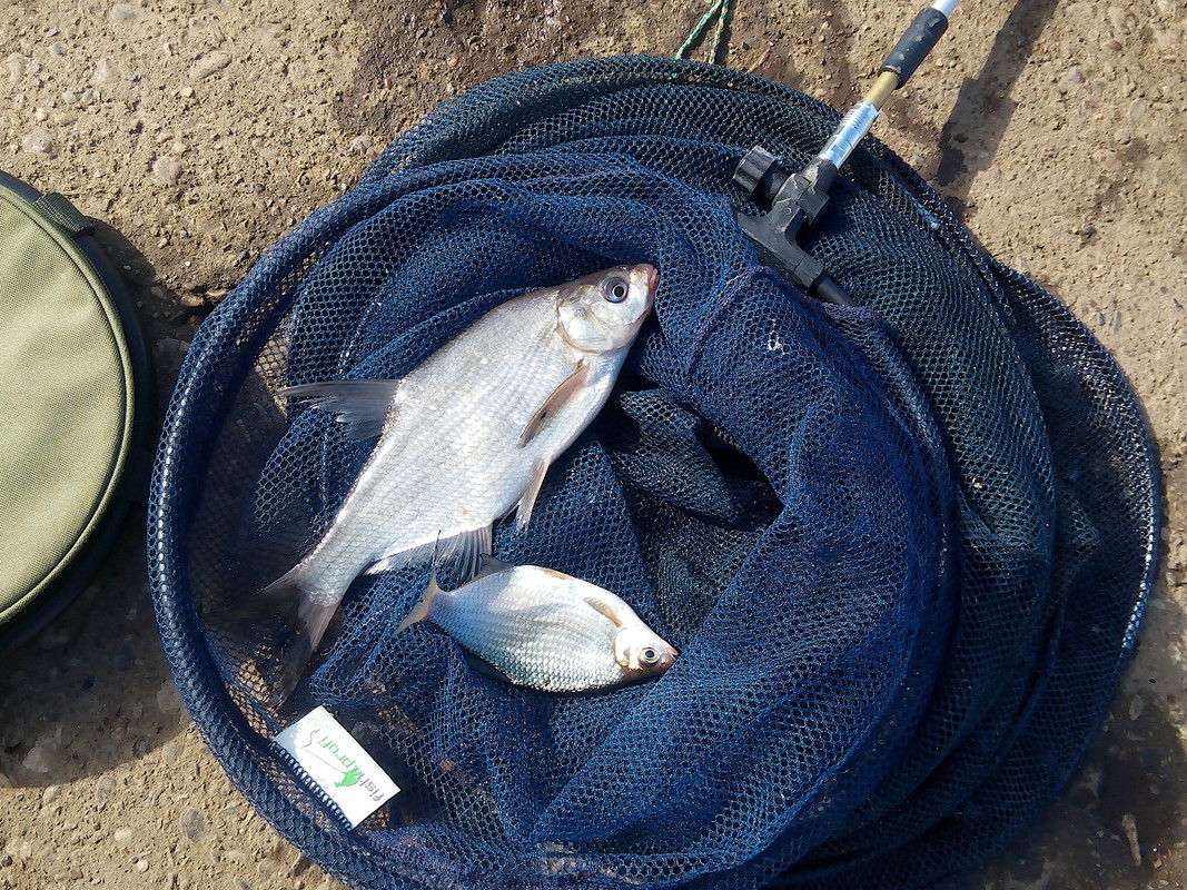 Мотозаводы 20.09.15. 03