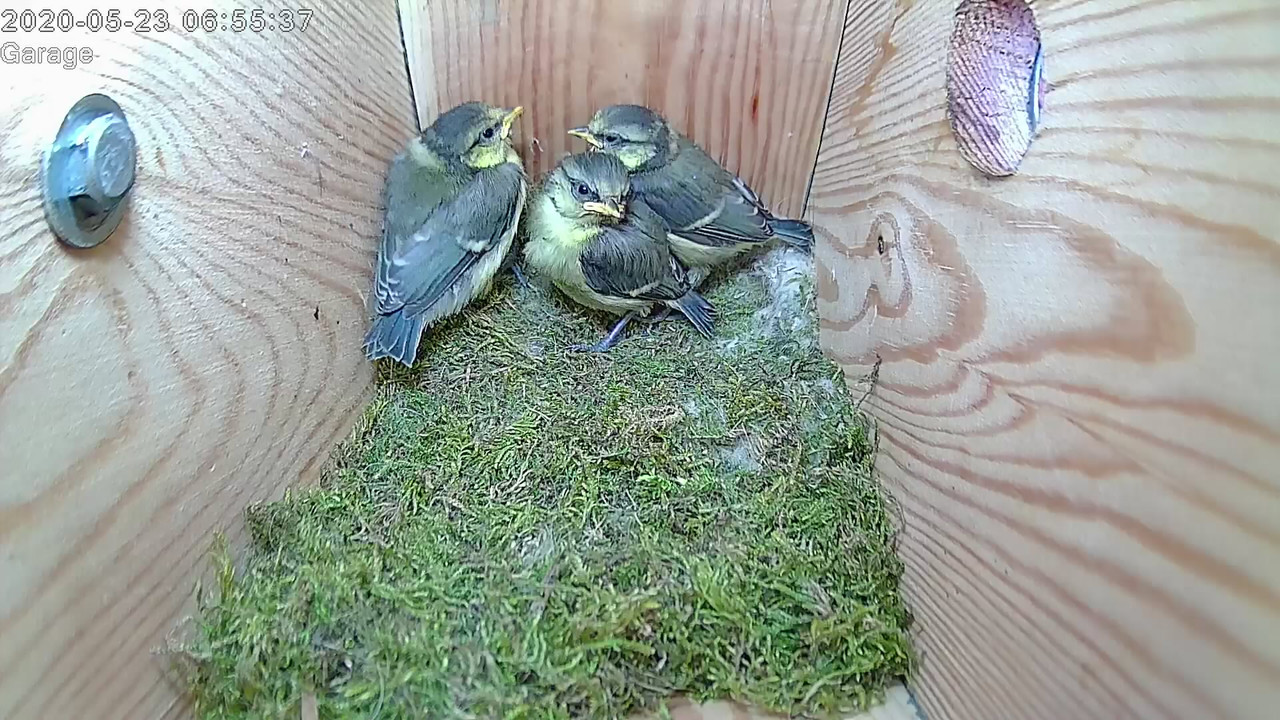 A8AA19C7-2550-485F-B756-431A2DC3AAFD