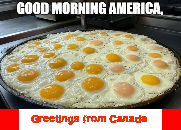 [Image: eggs.png]