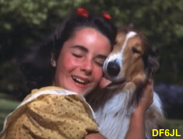 Liz-Lassie-01a
