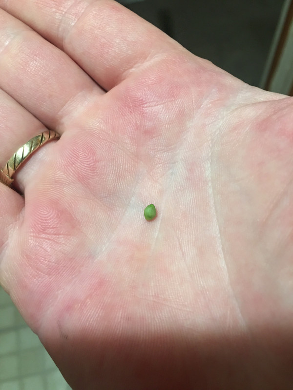 13C1E0A0-4757-498E-8A1A-58AAA3D059C1