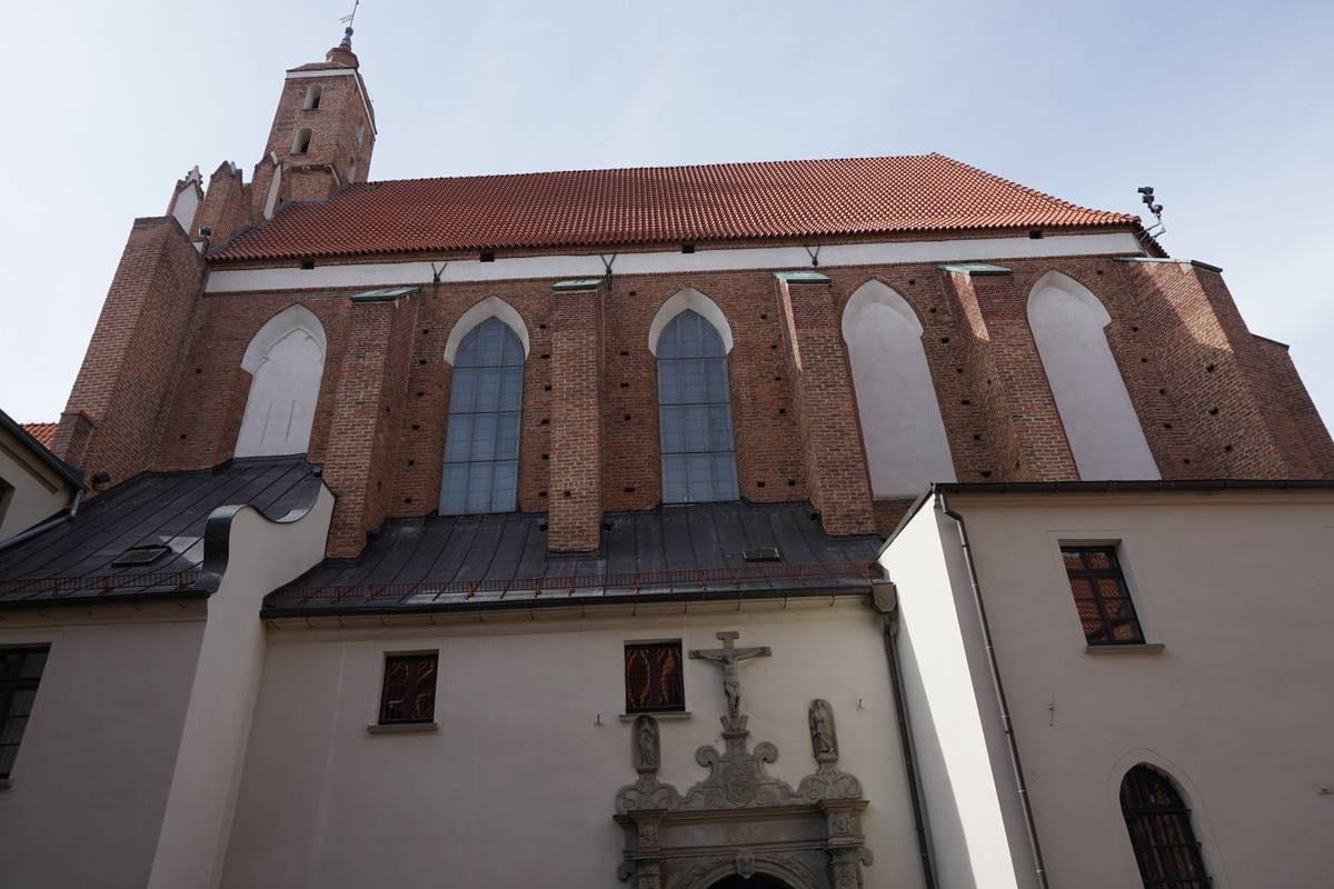 20.03 - DSC08010 (zbychowiec)