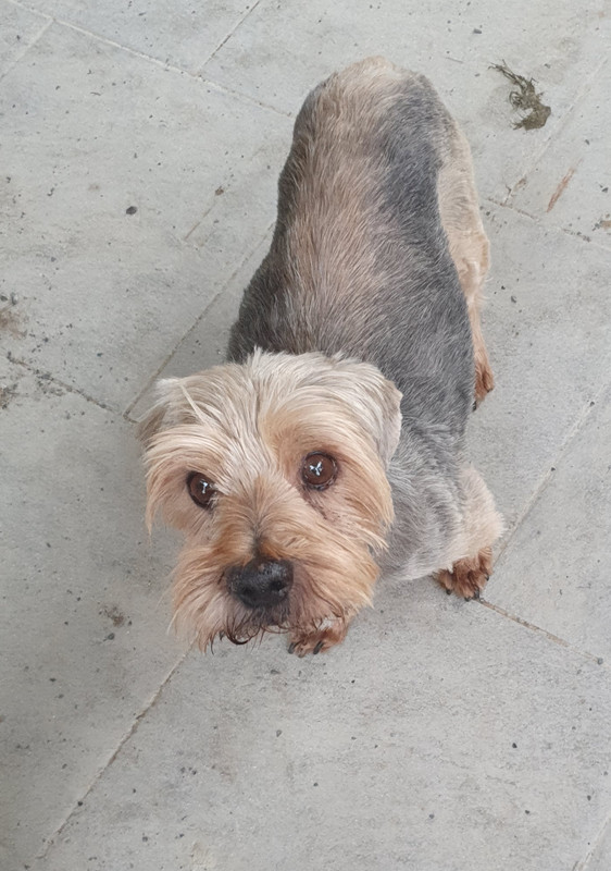 [Image: 20221103-104905.jpg]