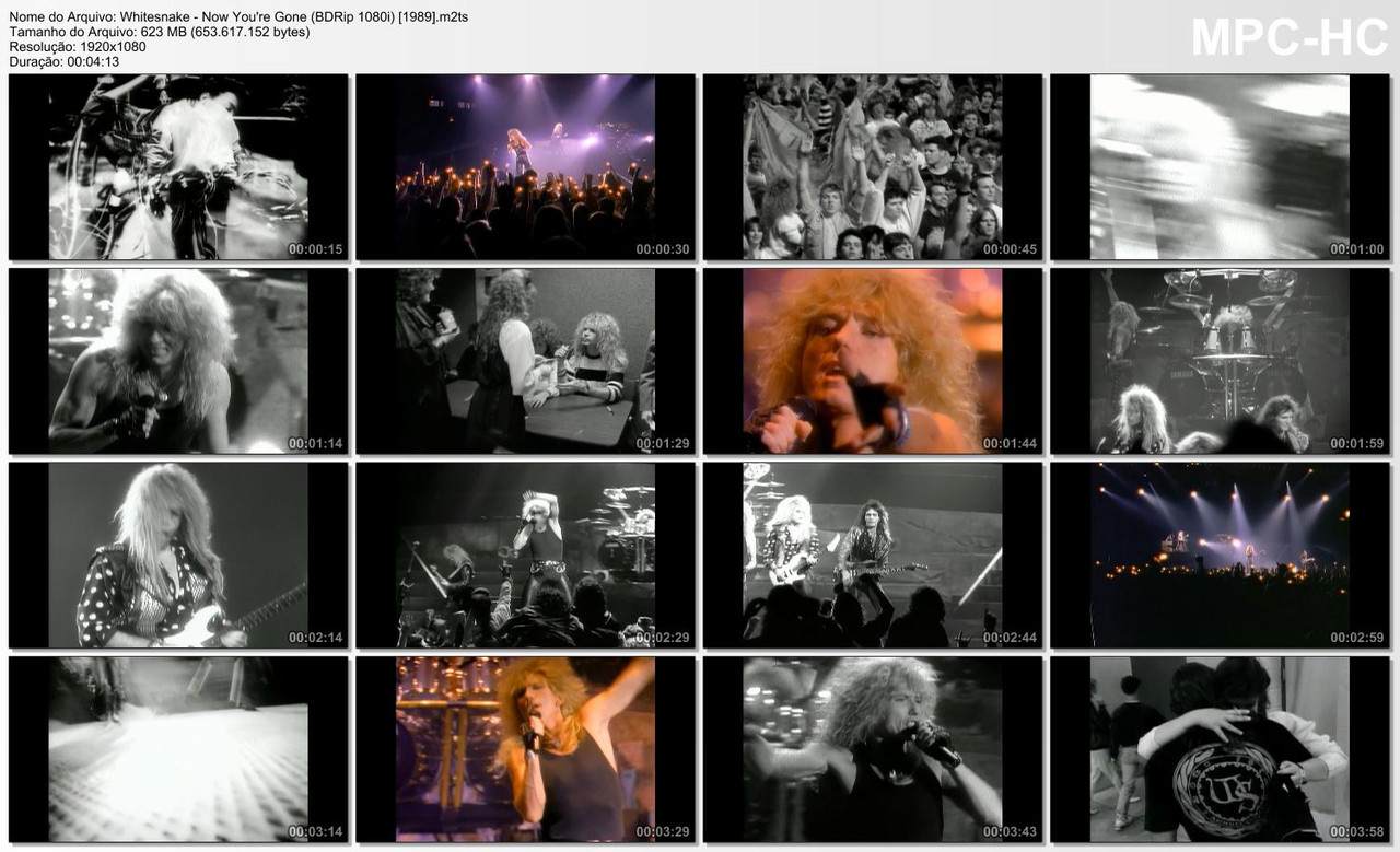 Whitesnake - Now You're Gone (BDRip 1080i) [1989]