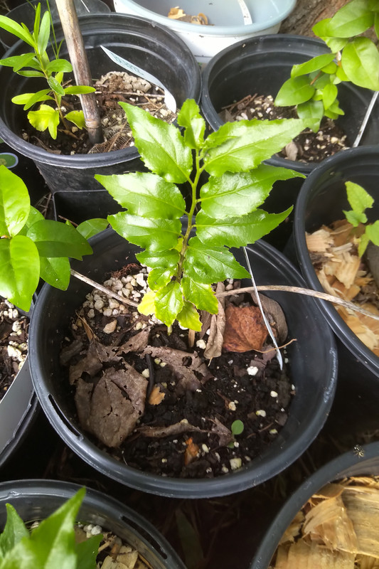 IMG_20200909_1635370(1)