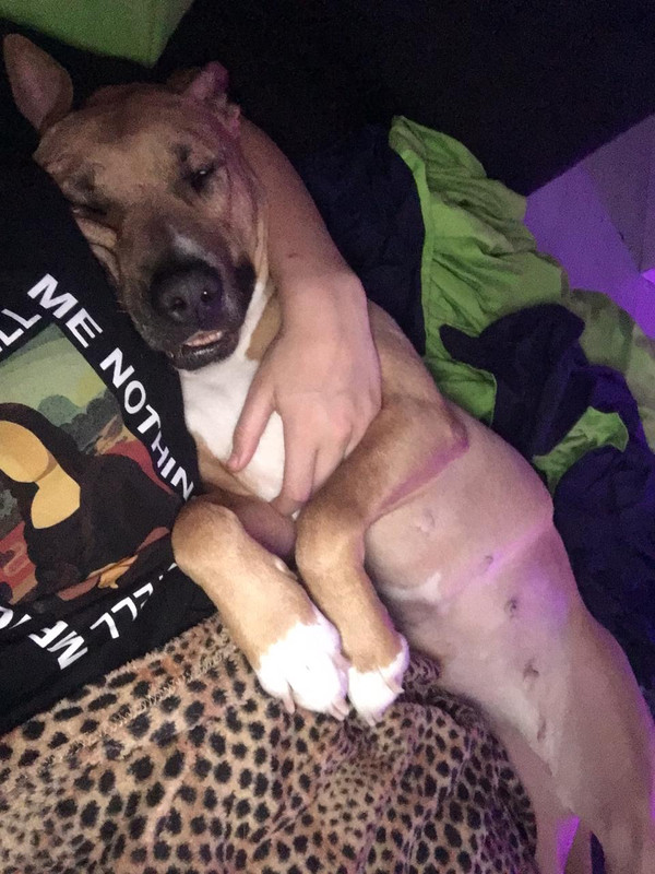 7A903D87-2E51-4B77-BCA7-ADEBDF22FAE2