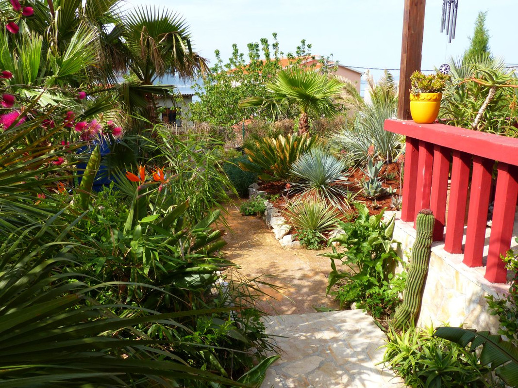 P1230850
