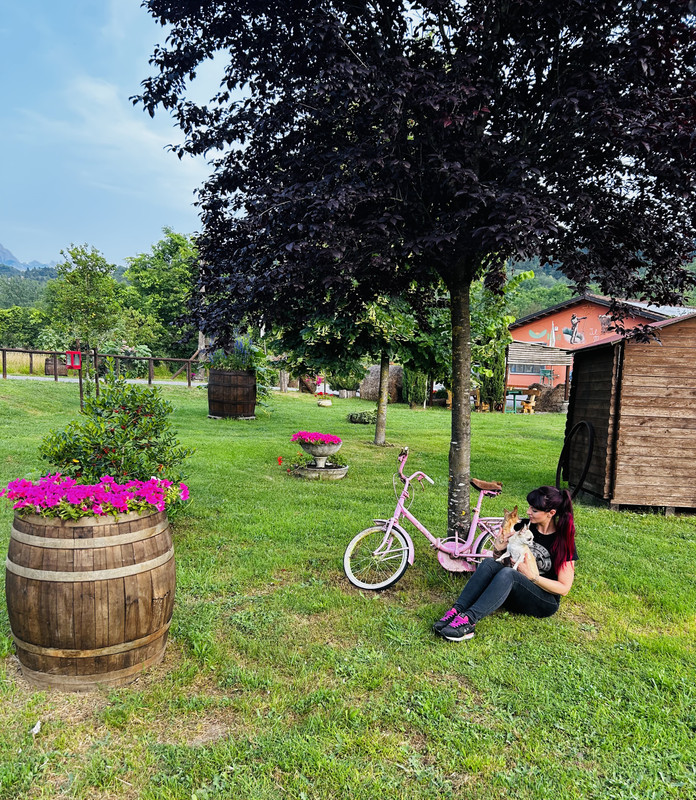 7365E476-4AE7-4749-838D-59E404C64D3D