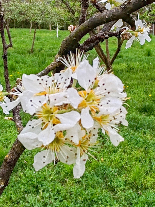 IMG 20260413 191531bbb