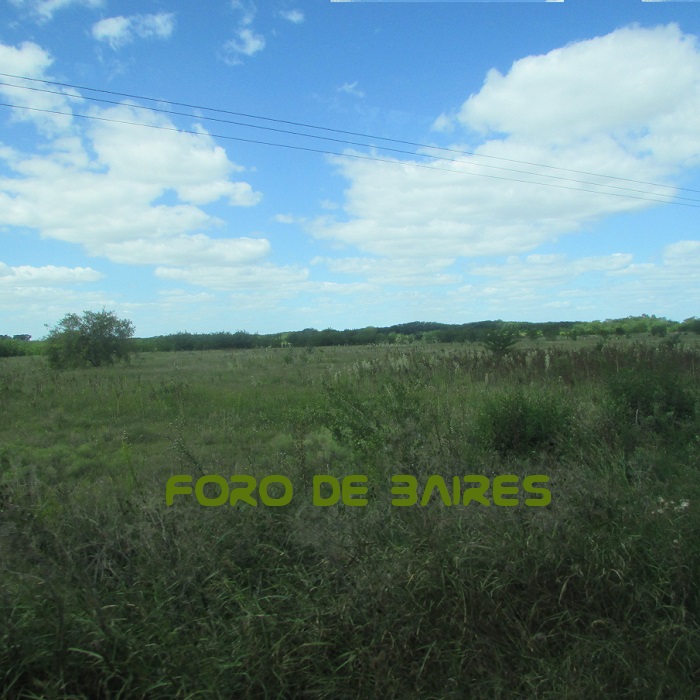 fotocampo1