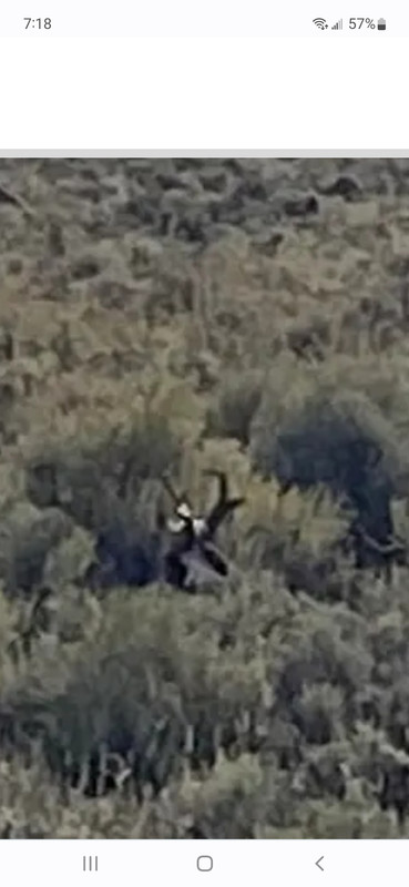 Screenshot_20220912-191847_Chrome