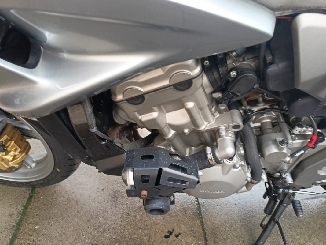 IMG20221120143444 (Large)