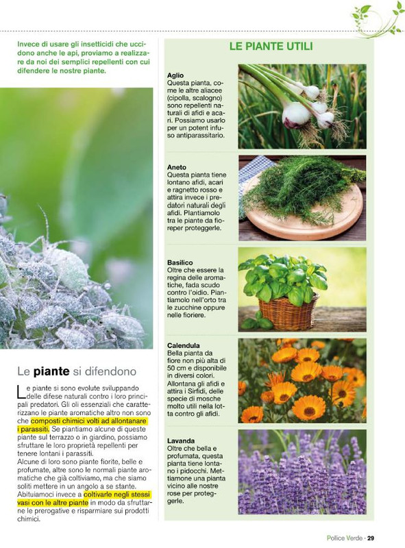 Pol Ver Mag 2020 (6)