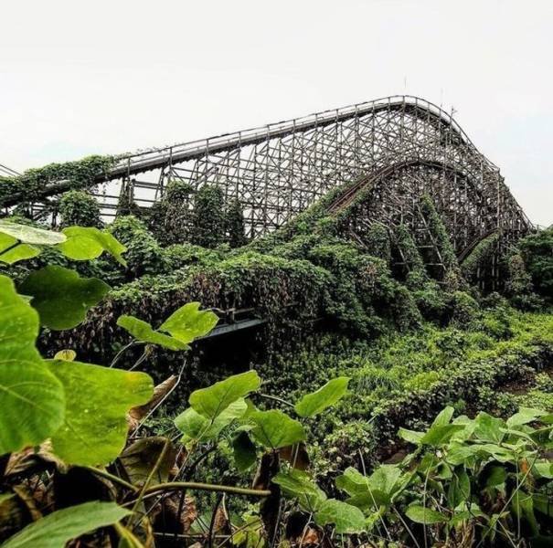 Nature-8